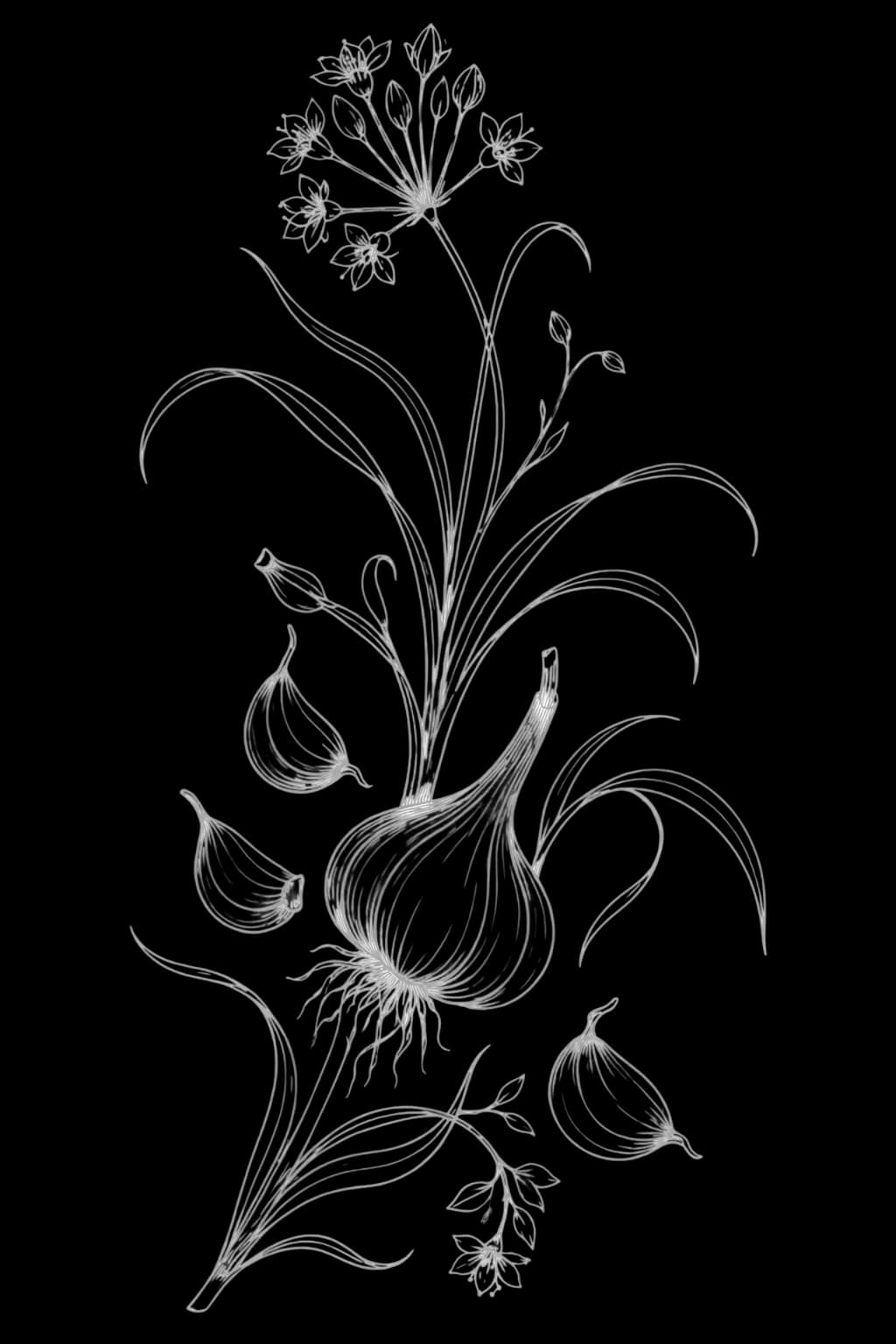 Garlic