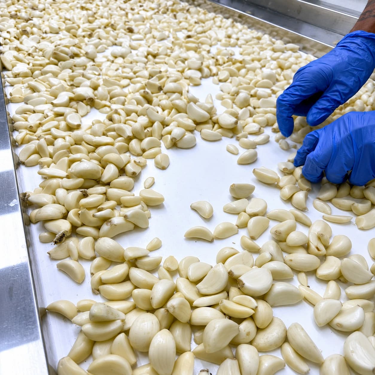 BLP Fresh Pack facility